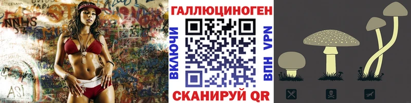 Псилоцибиновые грибы Psilocybe  Моршанск 